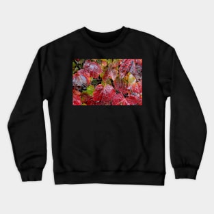 Who Lives On A Web Like This? Crewneck Sweatshirt